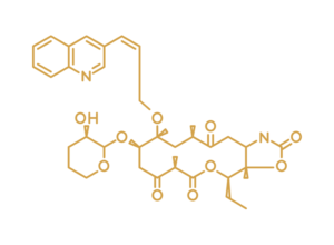 Cethromycin